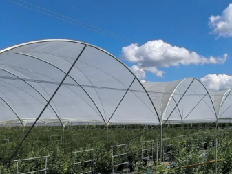 640 (1).webp (8).png