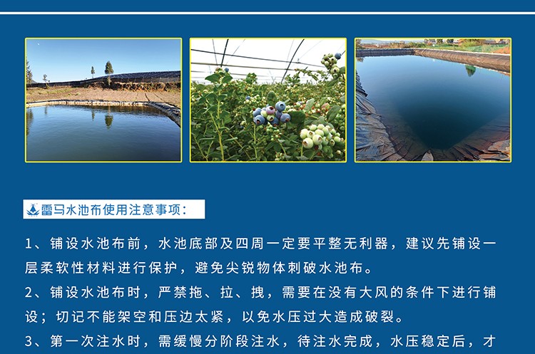 藍(lán)莓專用水池布-B_01.jpg