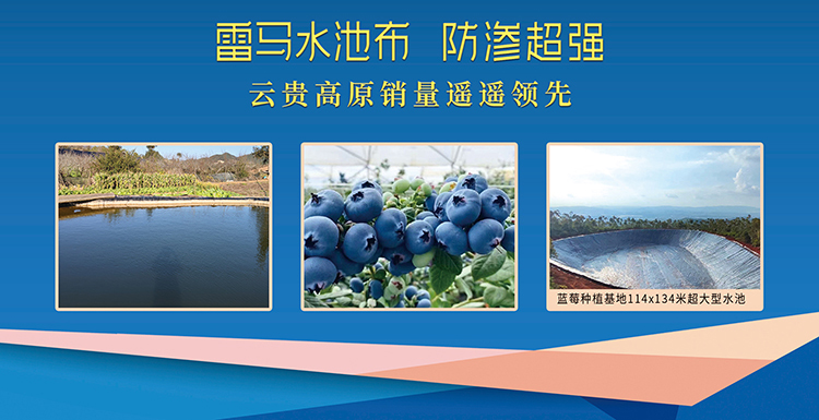 藍(lán)莓專用水池布-A_02.jpg